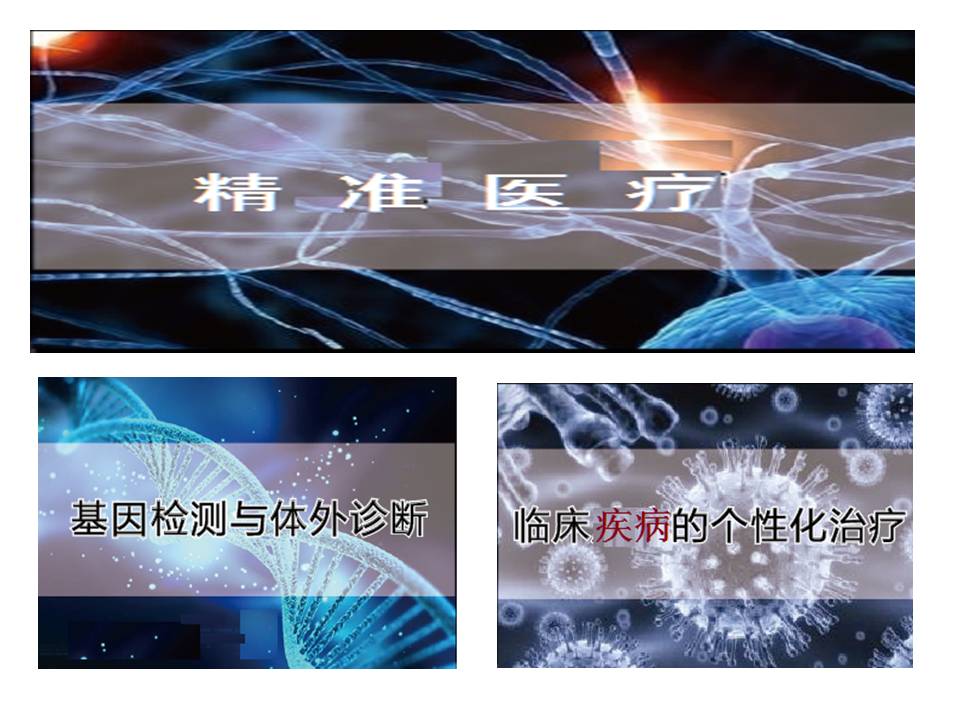 《个体医学时代老年病的研究策略》